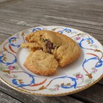 USA-Melting chocolate cookie